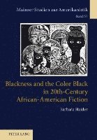 bokomslag Blackness and the Color Black in 20th-Century African-American Fiction