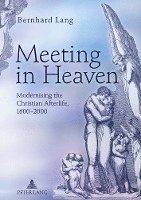 bokomslag Meeting in Heaven