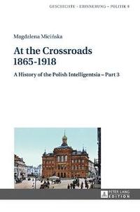 bokomslag At the Crossroads: 18651918