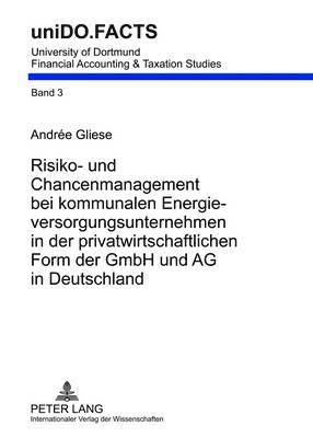 Risiko- Und Chancenmanagement Bei Kommunalen Energieversorgungsunternehmen in Der Privatwirtschaftlichen Form Der Gmbh Und AG in Deutschland 1