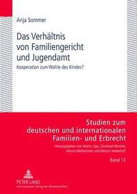 bokomslag Das Verhaeltnis Von Familiengericht Und Jugendamt