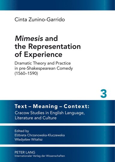 bokomslag 'Mimesis' and the Representation of Experience