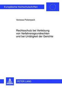 bokomslag Rechtsschutz Bei Verletzung Von Verfahrensgrundrechten Und Bei Untaetigkeit Der Gerichte