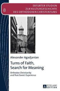 bokomslag Turns of Faith, Search for Meaning