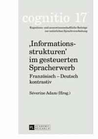 bokomslag 'Informationsstrukturen' Im Gesteuerten Spracherwerb