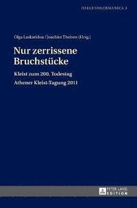 bokomslag Nur zerrissene Bruchstuecke