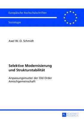 Axel Schmidt - Selektive Modernisierung Und Strukturstabilitaet, Häftad