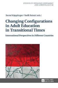bokomslag Changing Configurations in Adult Education in Transitional Times