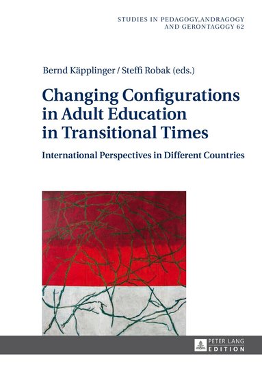 Bernd Käpplinger, Steffi Robak - Changing Configurations in Adult Education in Transitional Times, Inbunden