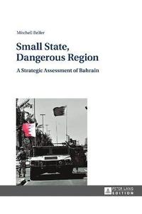 bokomslag Small State, Dangerous Region