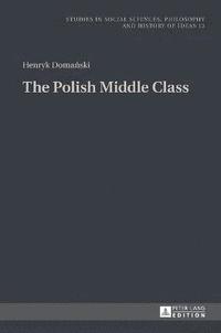 bokomslag Polish Middle Class