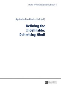 bokomslag Defining the Indefinable: Delimiting Hindi