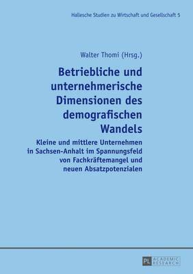 bokomslag Betriebliche Und Unternehmerische Dimensionen Des Demografischen Wandels