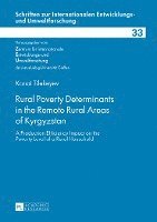 bokomslag Rural Poverty Determinants in the Remote Rural Areas of Kyrgyzstan