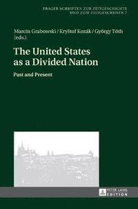 bokomslag The United States as a Divided Nation