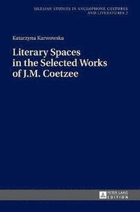 bokomslag Literary Spaces in the Selected Works of J.M. Coetzee