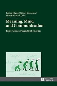 bokomslag Meaning, Mind and Communication
