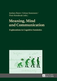 bokomslag Meaning, Mind and Communication