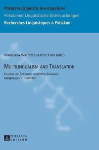 bokomslag Multilingualism and Translation