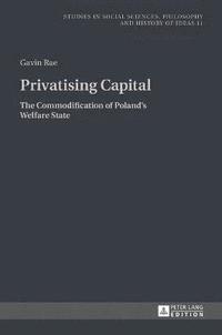 bokomslag Privatising Capital