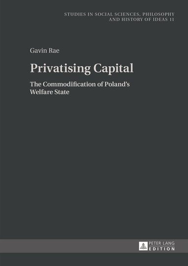 Gavin Rae - Privatising Capital, Inbunden