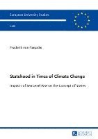 bokomslag Statehood in Times of Climate Change