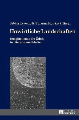 Unwirtliche Landschaften 1