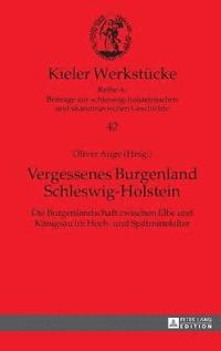 bokomslag Vergessenes Burgenland Schleswig-Holstein