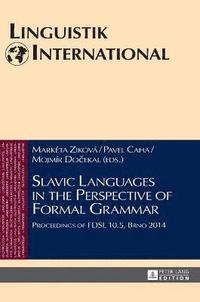 bokomslag Slavic Languages in the Perspective of Formal Grammar