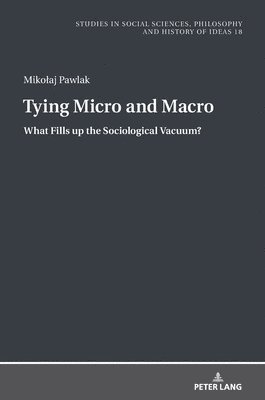 bokomslag Tying Micro and Macro