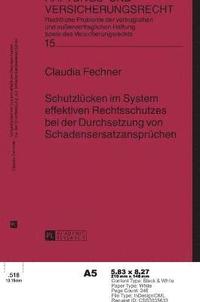 bokomslag Schutzlücken im System effektiven Rechtsschutzes bei der Durchsetzung von Schadensersatzansprüchen