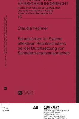 Claudia Fechner, Hans-Peter Schwintowski - Schutzluecken im System effektiven Rechtsschutzes bei der Durchsetzung von Schadensersatzanspruechen, Inbunden