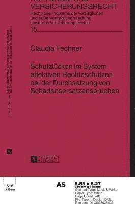 bokomslag Schutzluecken im System effektiven Rechtsschutzes bei der Durchsetzung von Schadensersatzanspruechen