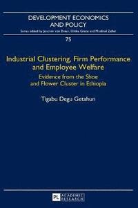 bokomslag Industrial Clustering, Firm Performance and Employee Welfare