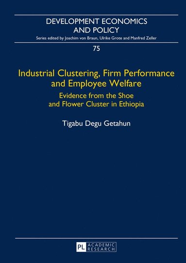 bokomslag Industrial Clustering, Firm Performance and Employee Welfare