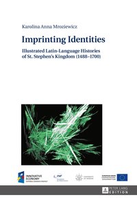 bokomslag Imprinting Identities