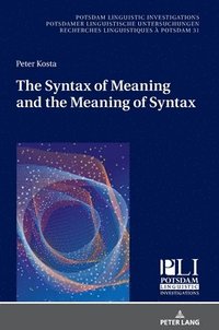 bokomslag The Syntax of Meaning and the Meaning of Syntax