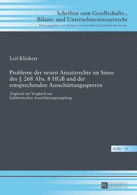 Leif Klinkert, Joachim Hennrichs - Probleme Der Neuen Ansatzrechte Im Sinne Des § 268 Abs. 8 Hgb Und Der Entsprechenden Ausschuettungssperren, Inbunden
