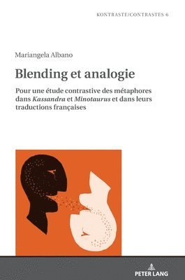 bokomslag Blending et analogie