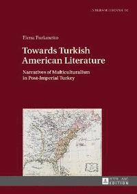 bokomslag Towards Turkish American Literature