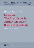 bokomslag Images of The Apocalypse in African American Blues and Spirituals
