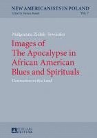 bokomslag Images of The Apocalypse in African American Blues and Spirituals