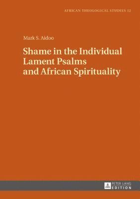 bokomslag Shame in the Individual Lament Psalms and African Spirituality