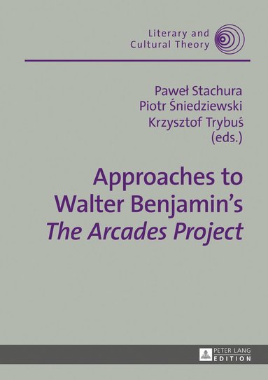 bokomslag Approaches to Walter Benjamins The Arcades Project