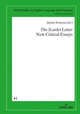 bokomslag The Scarlet Letter. New Critical Essays