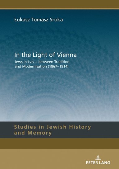 bokomslag In the Light of Vienna