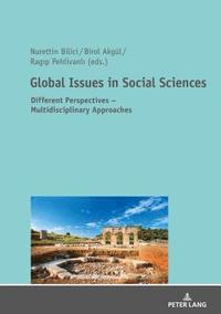 bokomslag Global Issues in Social Sciences