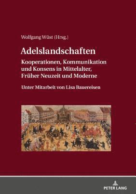 Wolfgang Wüst, Wolfgang Wust - Adelslandschaften, Inbunden