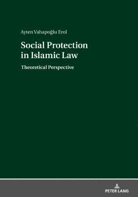 bokomslag Social Protection in Islamic Law