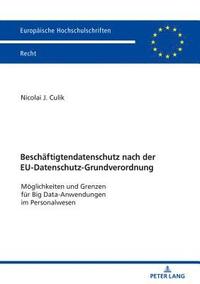 bokomslag Beschaeftigtendatenschutz nach der EU-Datenschutz-Grundverordnung